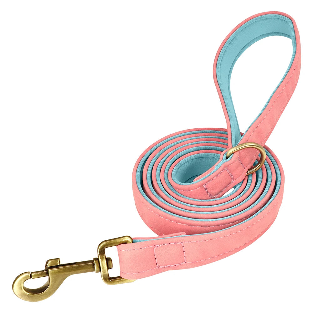 Leather Dog Collars and Leash Set