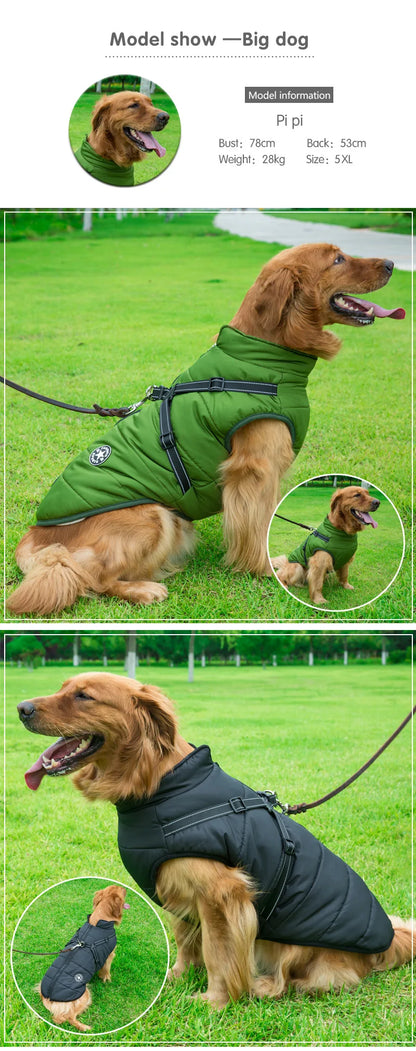 Dog Winter Coat with Harness