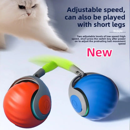 Intelligent Electric Cat Toy Ball