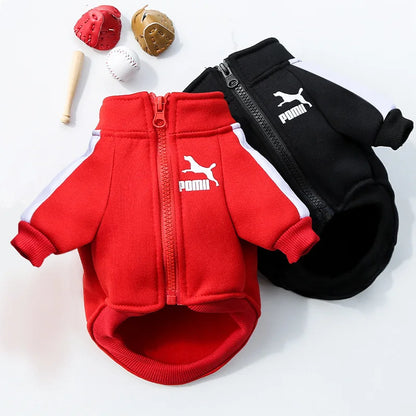 Winter Baseball Dog Jacket