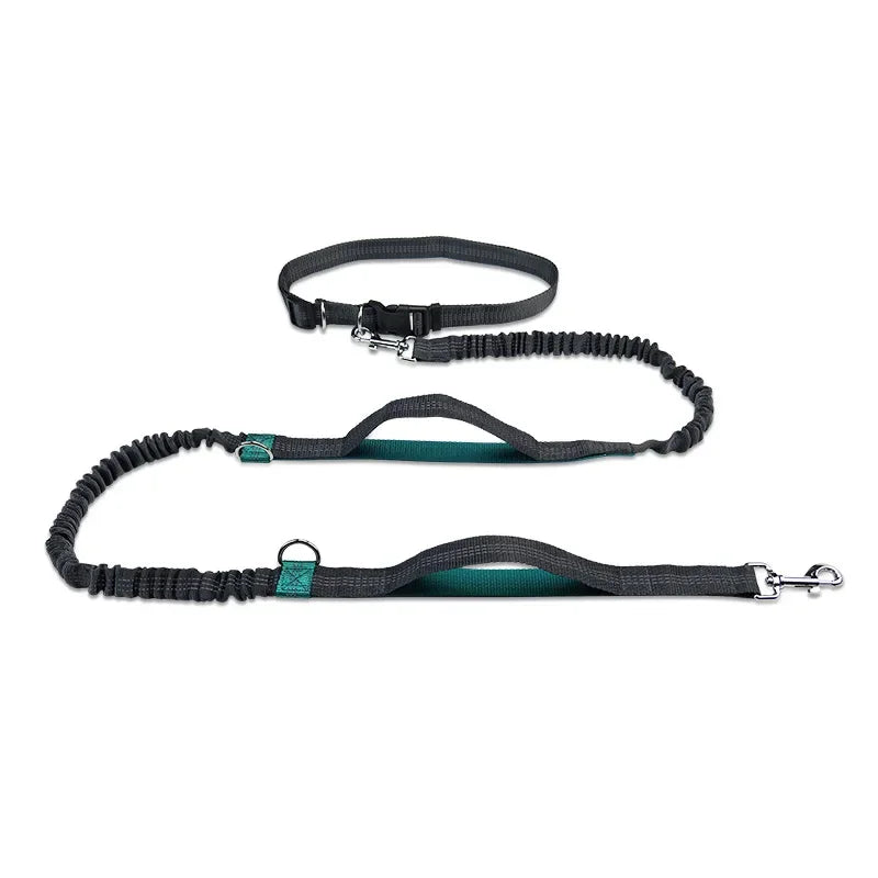 Extendable Hands Free Dog Leash