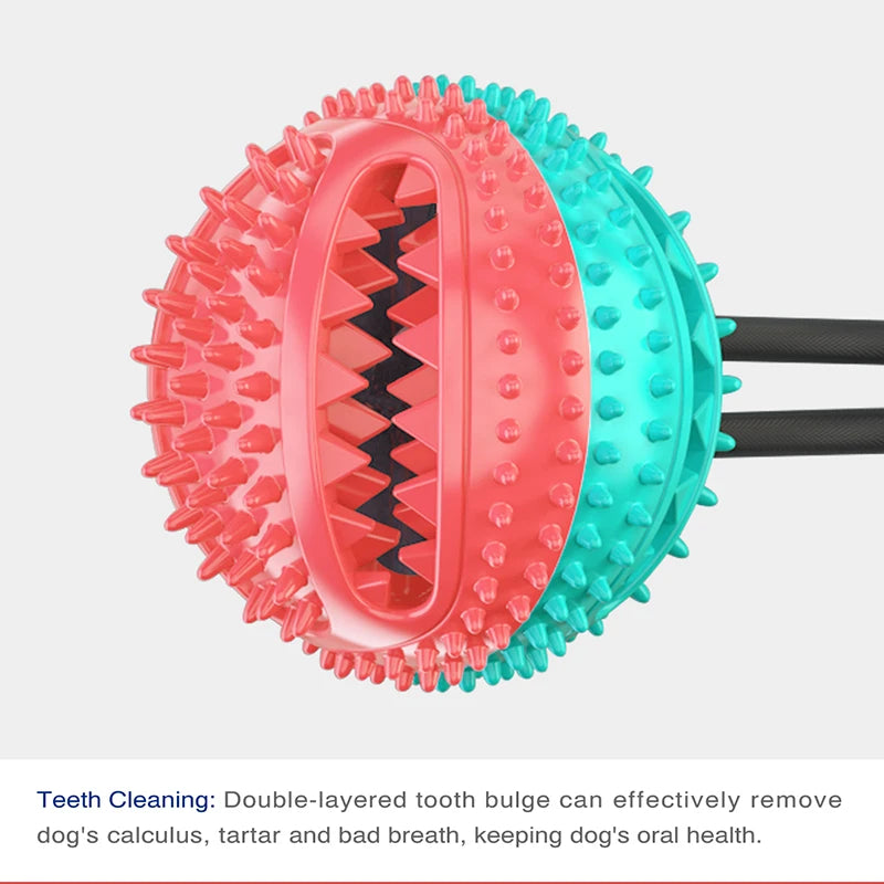 Dog Enrichment Toys - Interactive Chewing and Teeth Cleaning