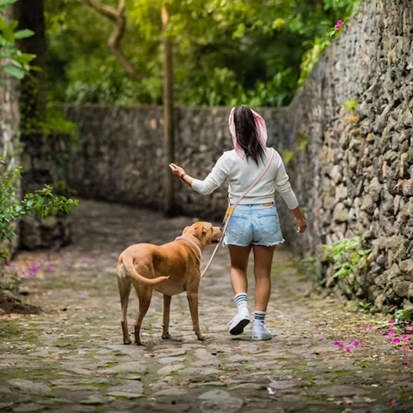 Hands Free Dog Traction Rope Leads