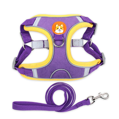 No Pull Dog Harness and Leash Australia