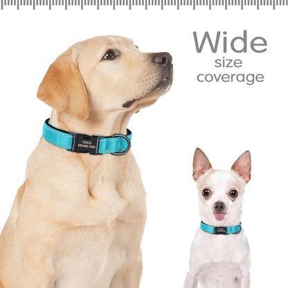 Personalized Reflective Dog Collars