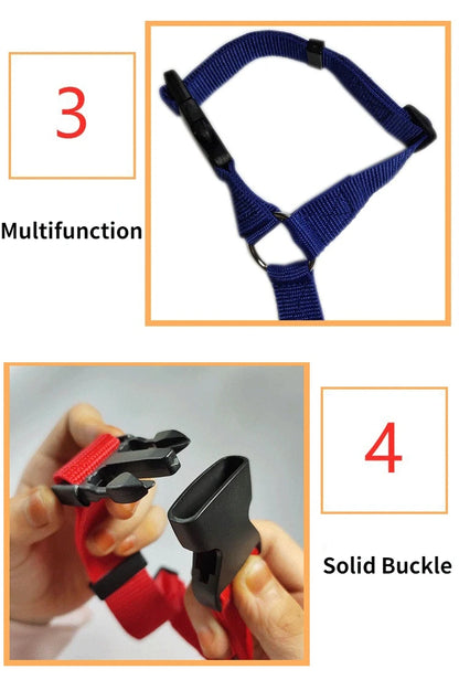 Dog Car Seat Belt and Leash