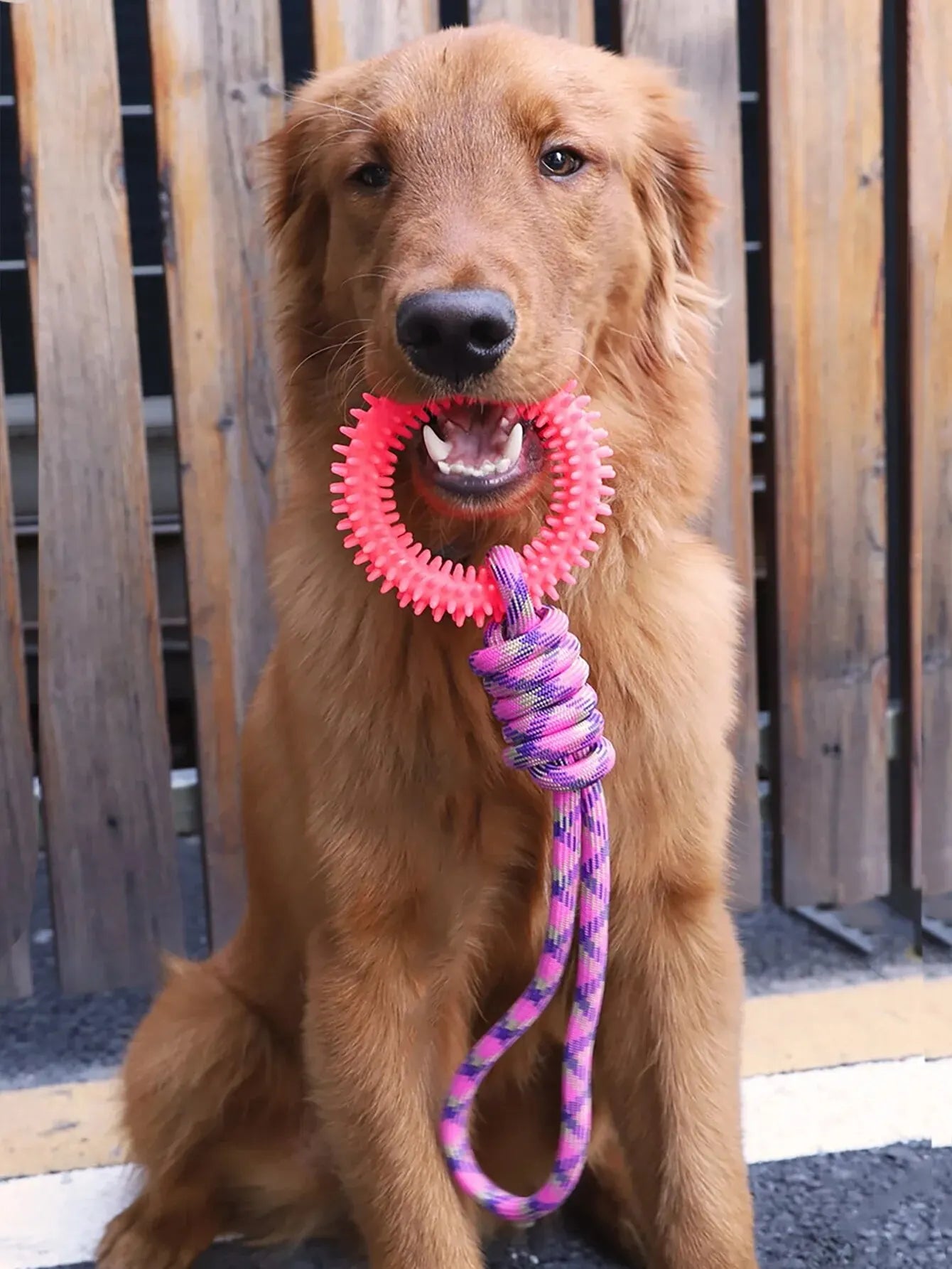 Dog Tug Toy - Teeth Cleaning Ring