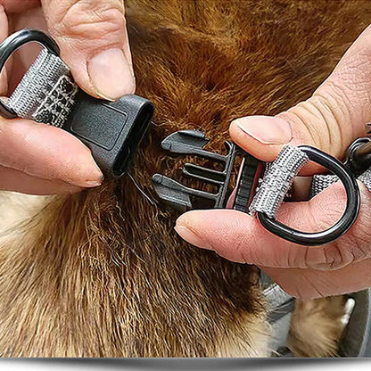 Dog Harness Australia