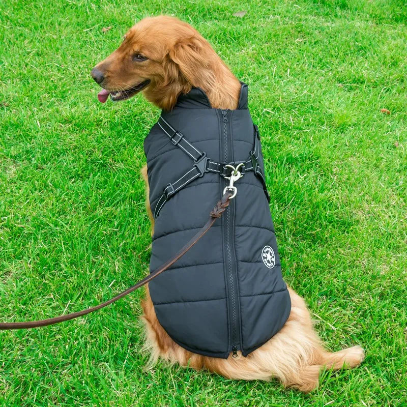 Dog Winter Coat with Harness