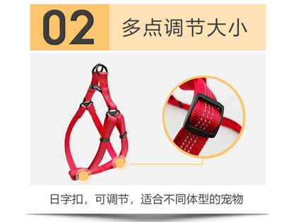 Dog Harness Australia