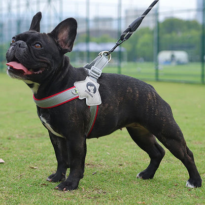 Dog Car Harness