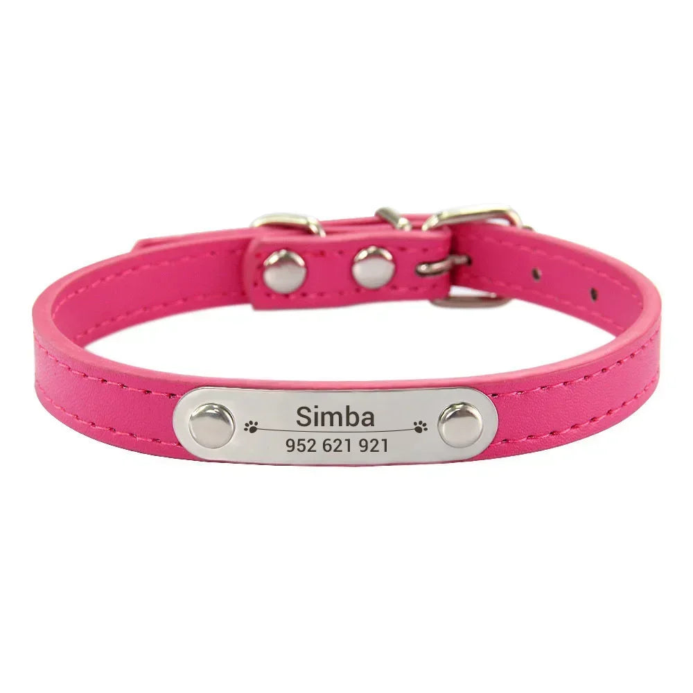 Cat and Dog Collar With Name