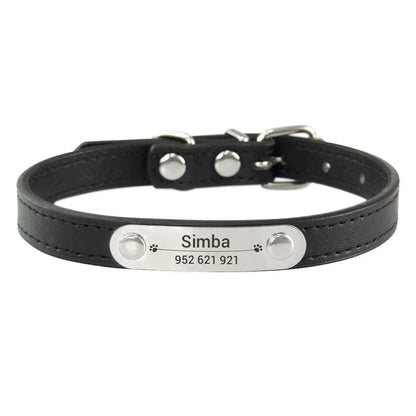 Cat and Dog Collar With Name