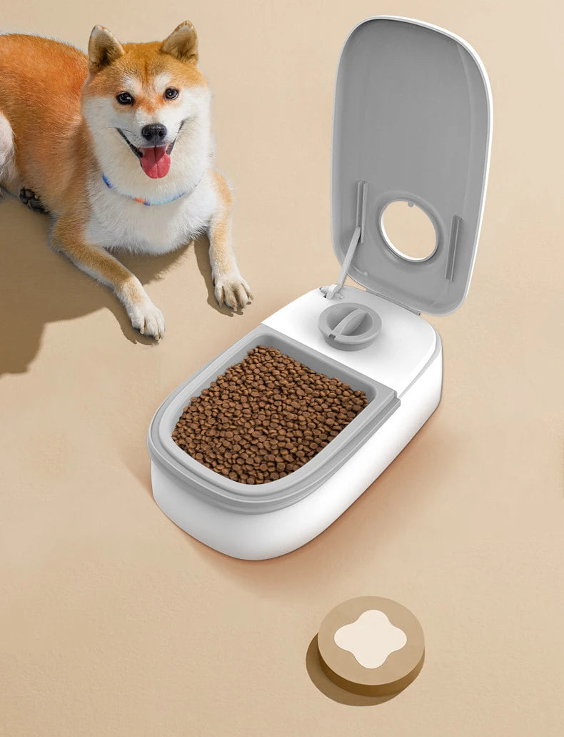 Pet Automatic Timing Feeder Bowl