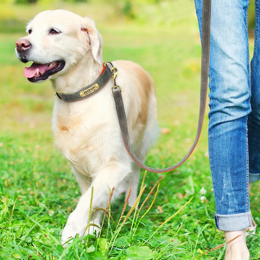 Leather Dog Collars and Leash Set