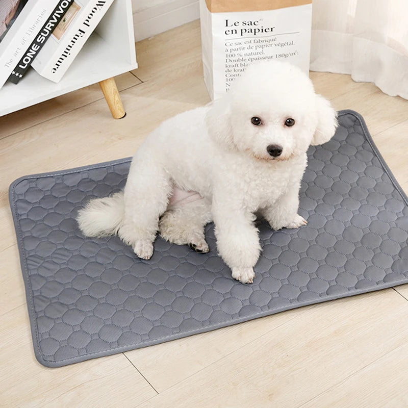 Washable Reusable Four-Layer Waterproof Pet Pee Mat