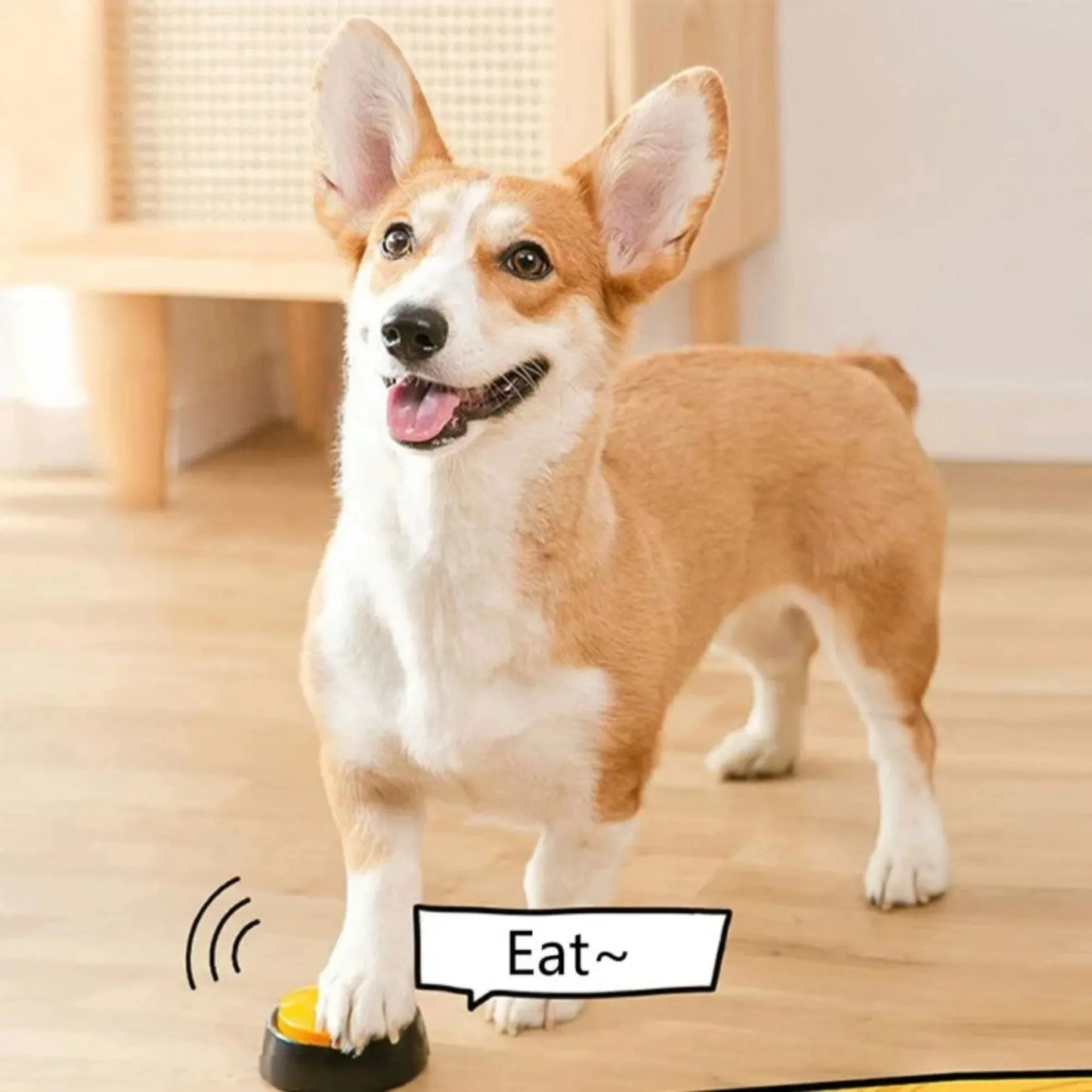 Dog Talking Buttons - Voice Recording Button