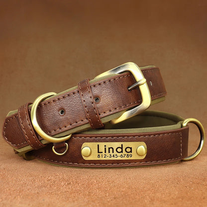 Personalised Dog Collars