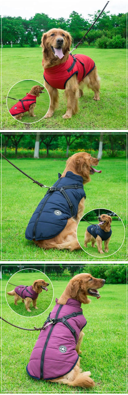 Dog Winter Coat with Harness