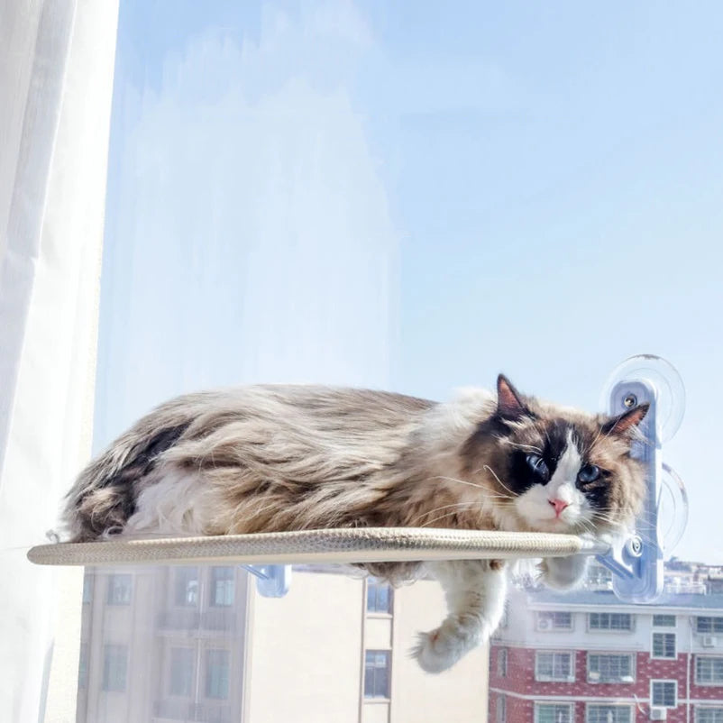 Cat window hanging bed