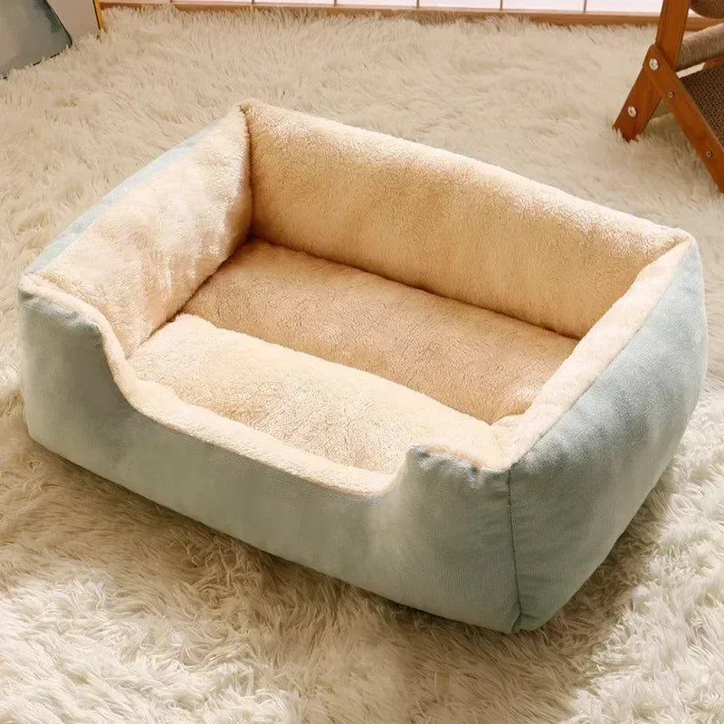 Dog Beds Australia - Cozy Cushions and Baskets