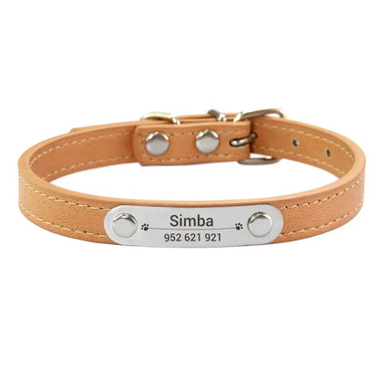 Cat and Dog Collar With Name