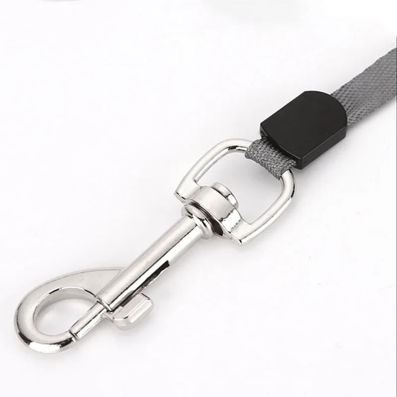 Retractable Dog Lead - Automatic Extending Lead for Small Dogs