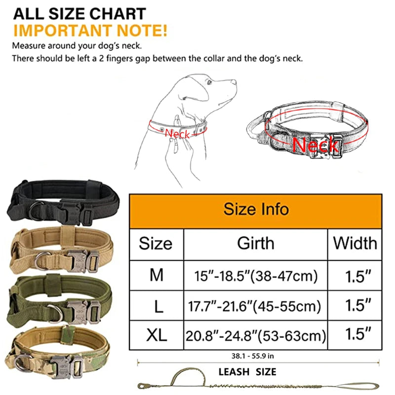 Dog Collars Australia Military-Grade