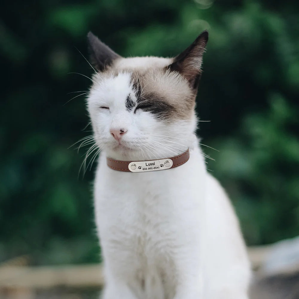 Cat and Dog Collar With Name