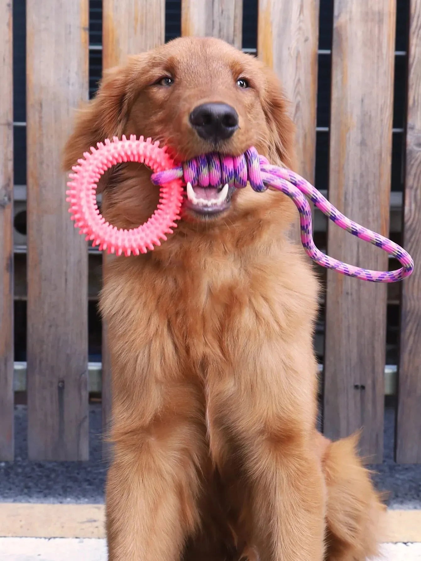 Dog Tug Toy - Teeth Cleaning Ring