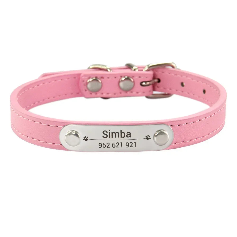 Cat and Dog Collar With Name