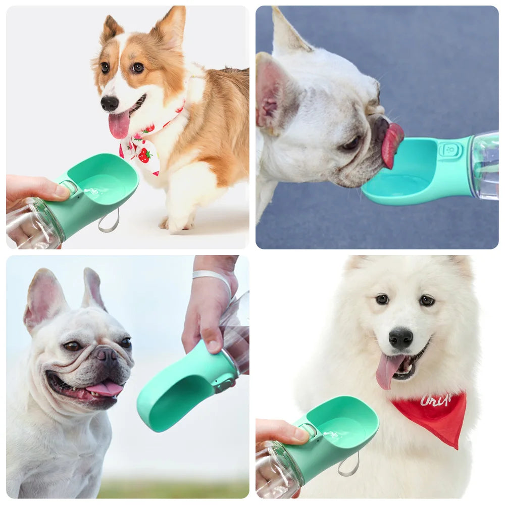 Portable Outdoor Pet Water Bottle