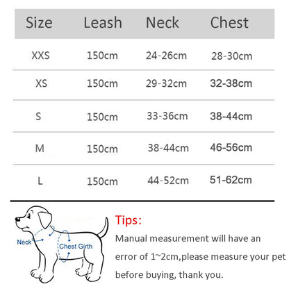 Dog lead and harness combo