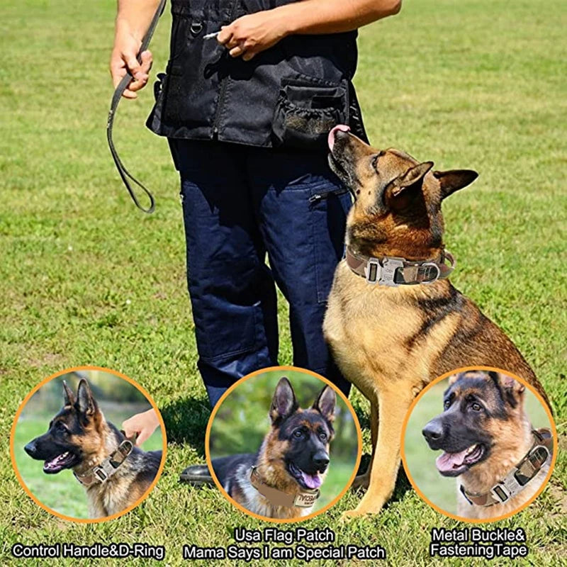 Dog Collars Australia Military-Grade