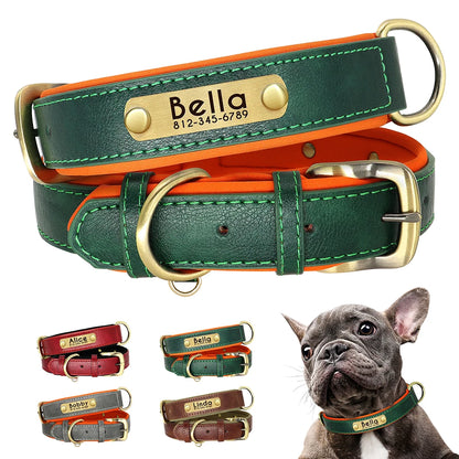 Personalised Dog Collars