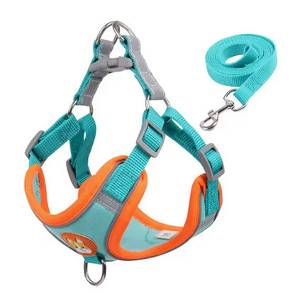 No Pull Dog Harness and Leash Australia