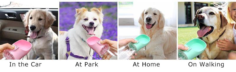 Portable Outdoor Pet Water Bottle