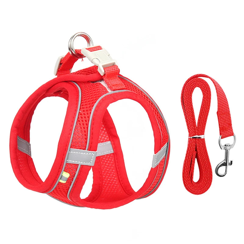 Dog lead and harness combo