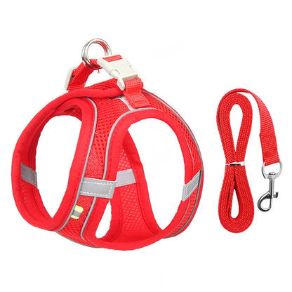 Dog lead and harness combo