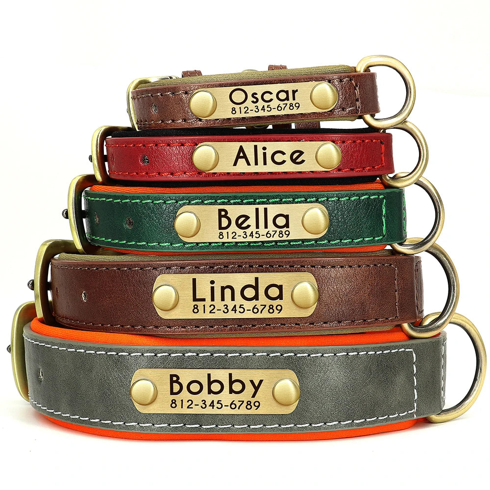 Personalised Dog Collars