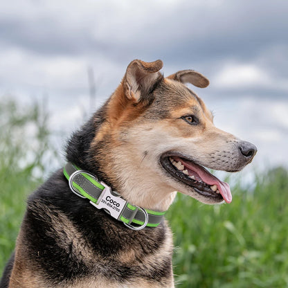 Personalized Reflective Dog Collars