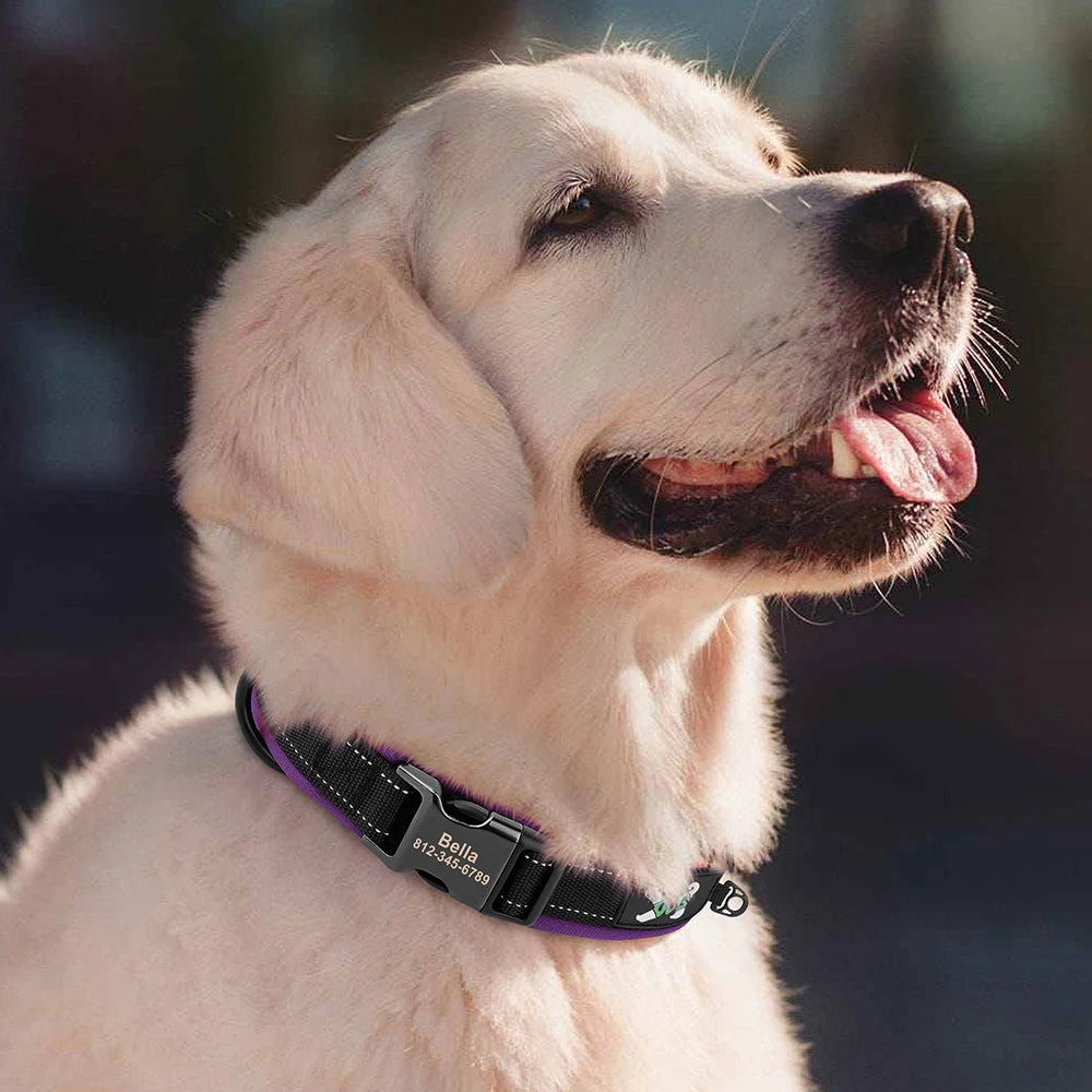 Personalized Reflective Dog Collars