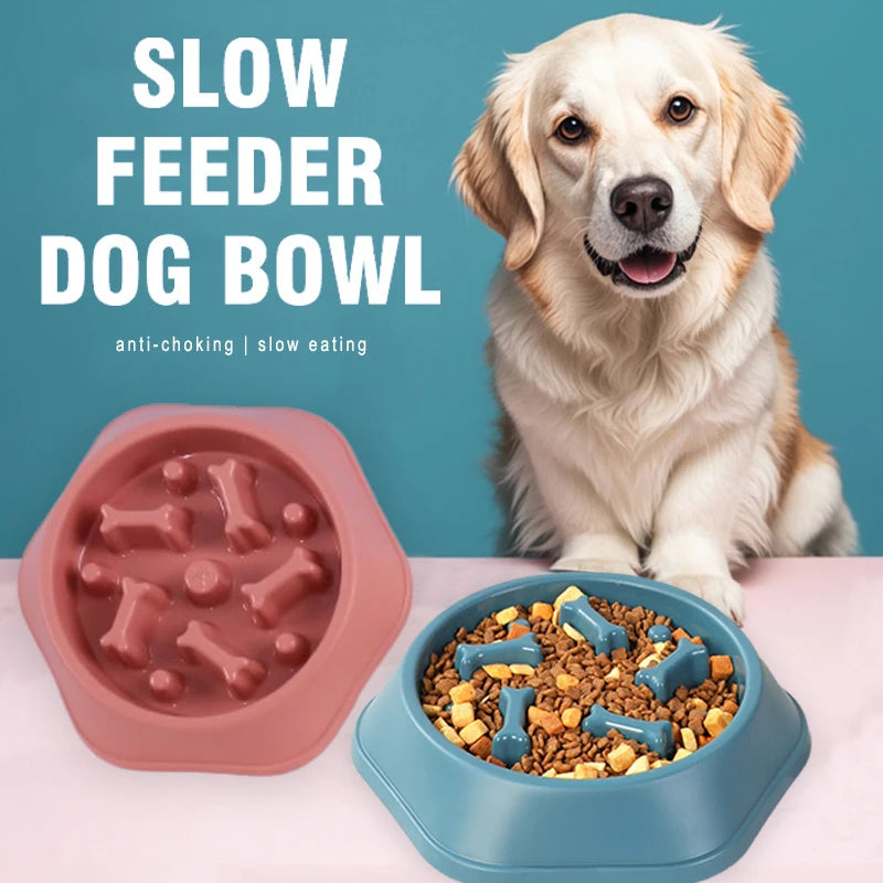 Dog Slow Feeding Bowl for Better Health