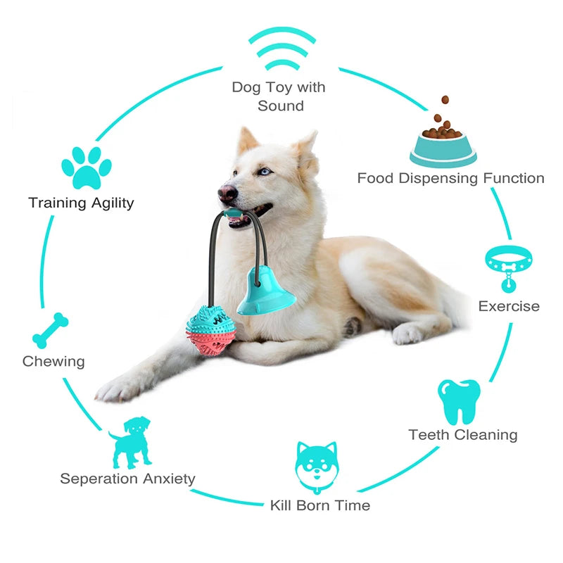 Dog Enrichment Toys - Interactive Chewing and Teeth Cleaning