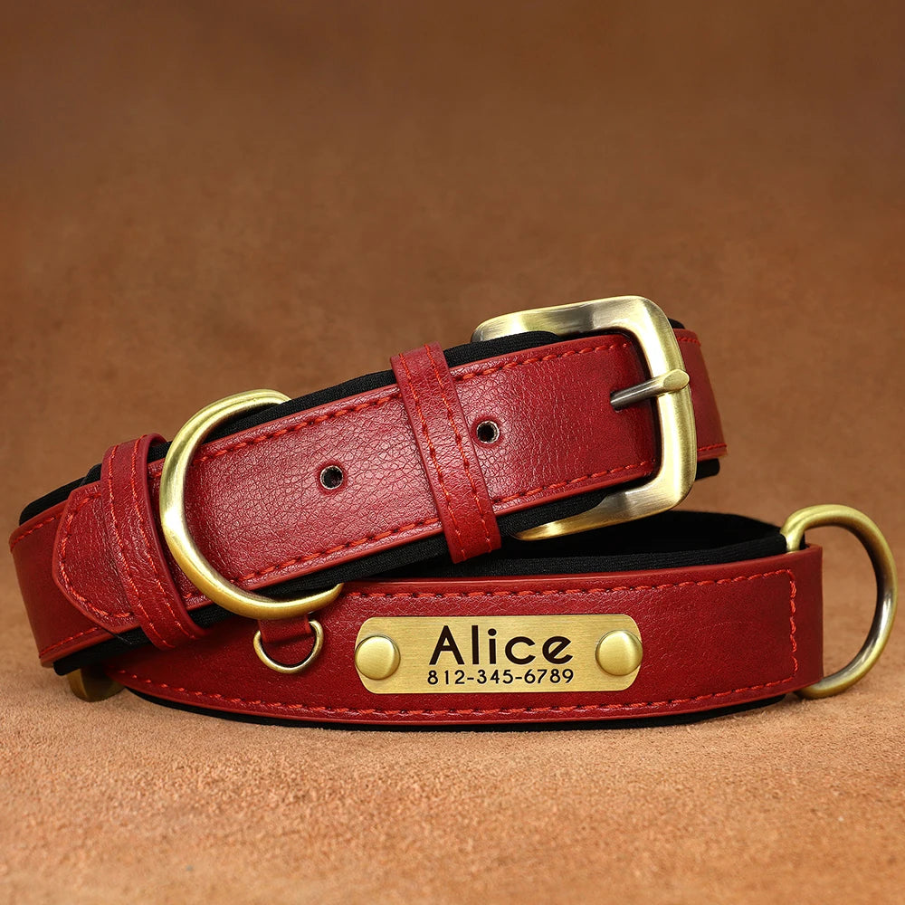 Personalised Dog Collars