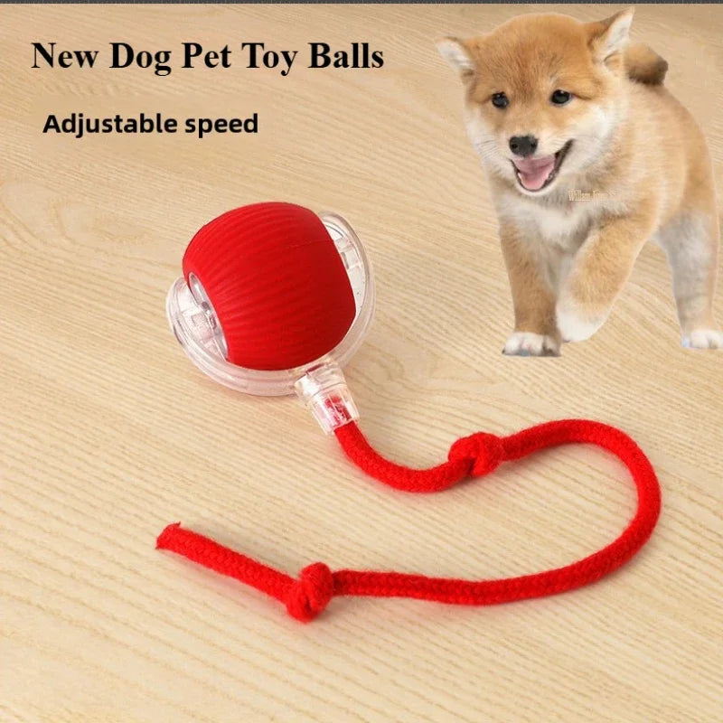 Interactive Dog Toys - Rechargeable Smart Toy