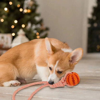 Food Dispensing Dog Chew Toys