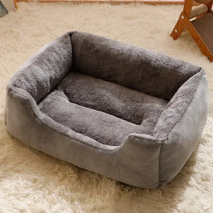 Dog Beds Australia - Cozy Cushions and Baskets