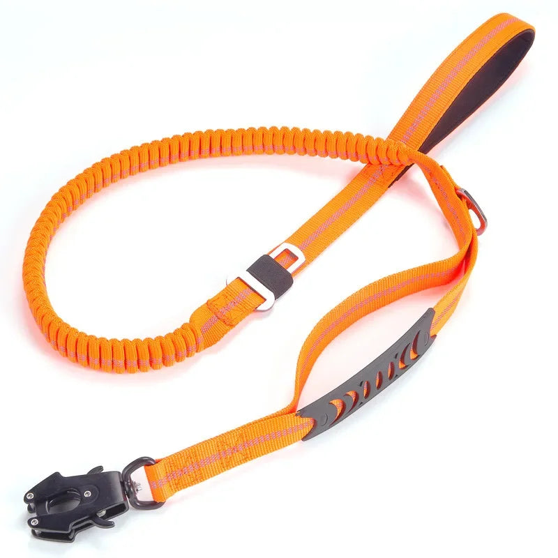 Dog Training Leads and Leashes with Car Seatbelt Attachment