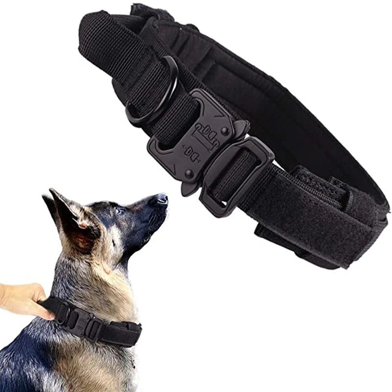 Dog Collars Australia Military-Grade